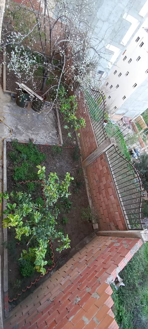 Vente maison en clos couvert Bejaia 06000