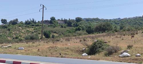 Terrain Urbain El Aouana 