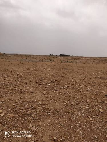 Vends terrain 12 hectares Hassi Fedoul Djelfa