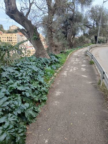 Vends terrain 1600 m2 El Biar