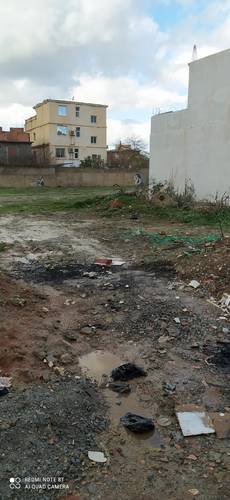 Vends terrain 210 m2 Oued Alleug