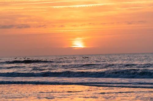 Loue joli appartement F3