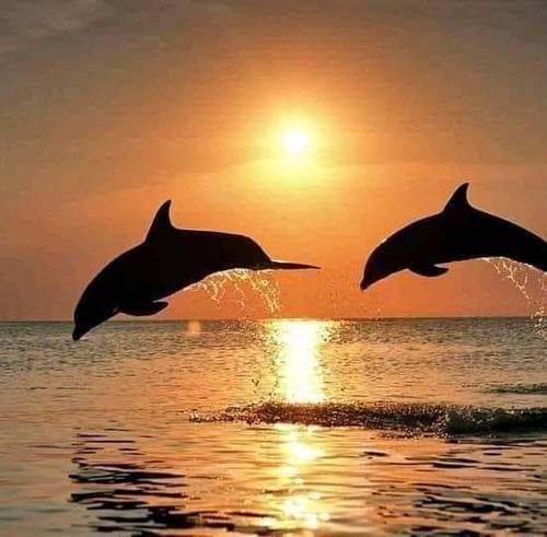 Loue joli appartement F3