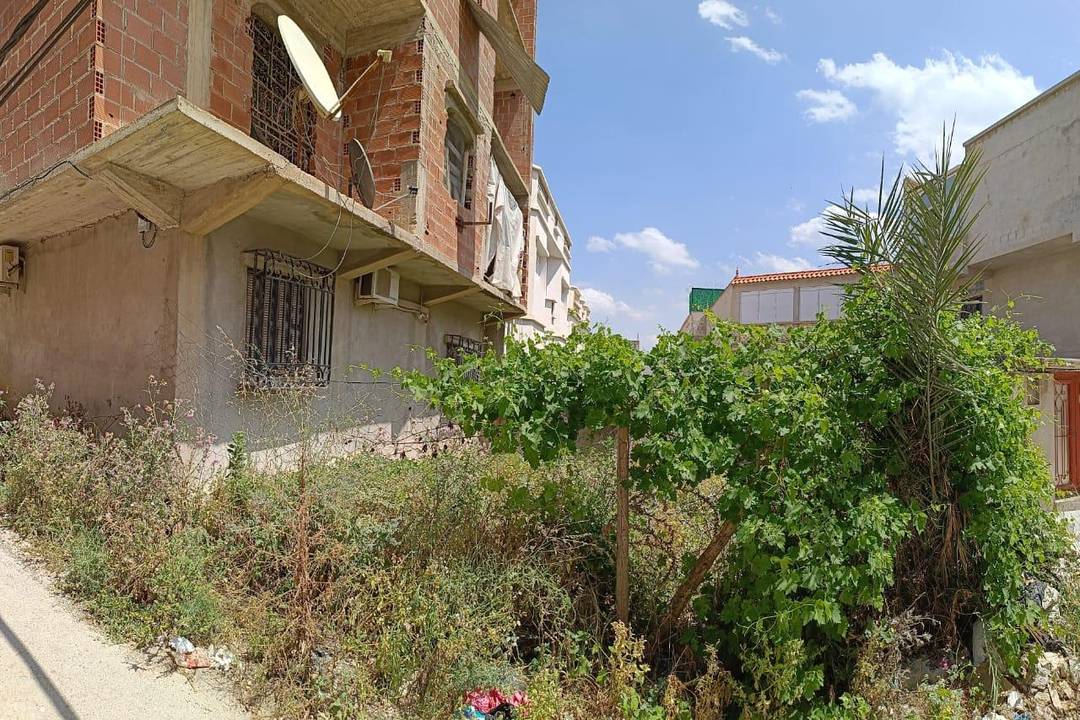 Vente carcasse cité el hanaa boussouf 