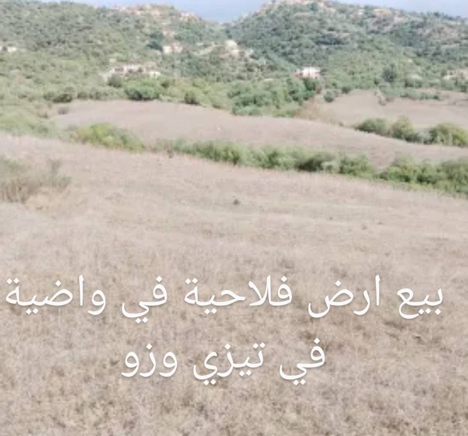 Vente de terrain agricole situé à ouadhia TiziOuzou