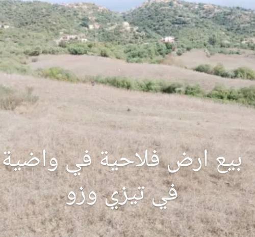 Vente de terrain agricole situé à ouadhia TiziOuzou 