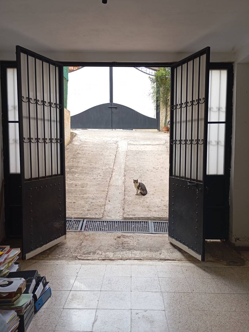 Location à locale à chéraga