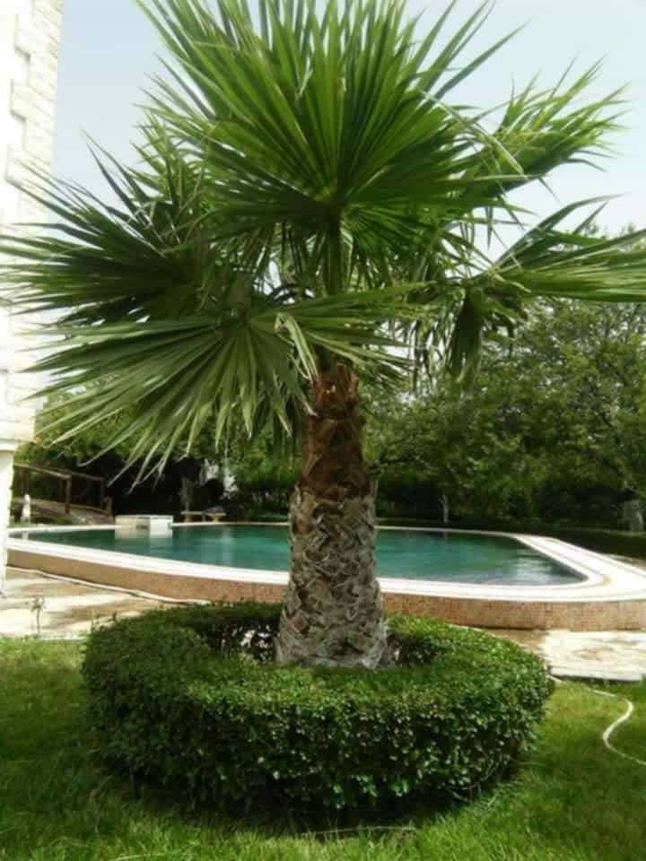 Villa avec piscine et grand jardin à Ouled Rahmoune