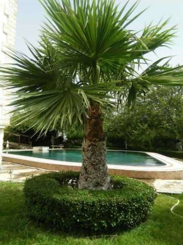 Villa avec piscine et grand jardin à Ouled Rahmoune