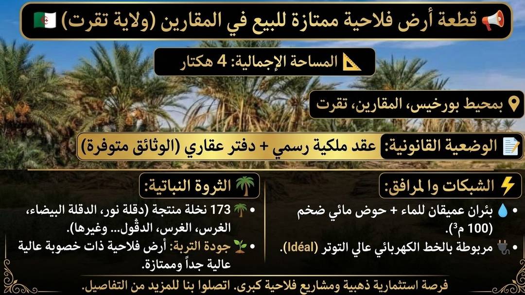 📣 Excellent terrain agricole à vendre à El M'Ghair (Province de Touggourt)