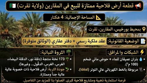 📣 Excellent terrain agricole à vendre à El M'Ghair (Province de Touggourt) 