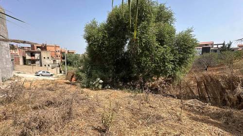 🏘Terrain de premier choix aux caractéristiques idéales à vendre à Douira (Alger) 🌟 pour ceux qui souhaitent construire une maison familiale haut de gamme🏡 