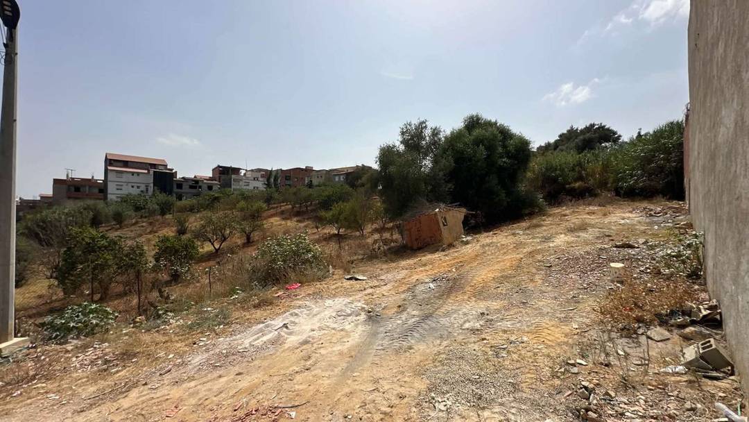 🏘Terrain de premier choix aux caractéristiques idéales à vendre à Douira (Alger) 🌟 pour ceux qui souhaitent construire une maison familiale haut de gamme🏡