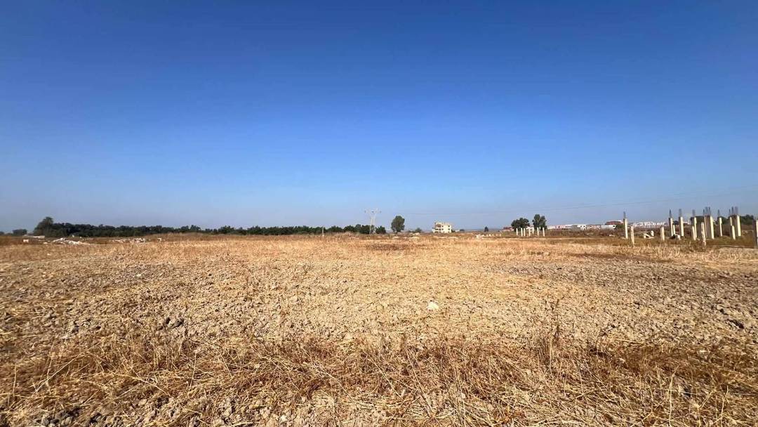 À vendre à Tessala El Merdja, province d'Alger : terrain exceptionnel pour la construction d'une maison familiale