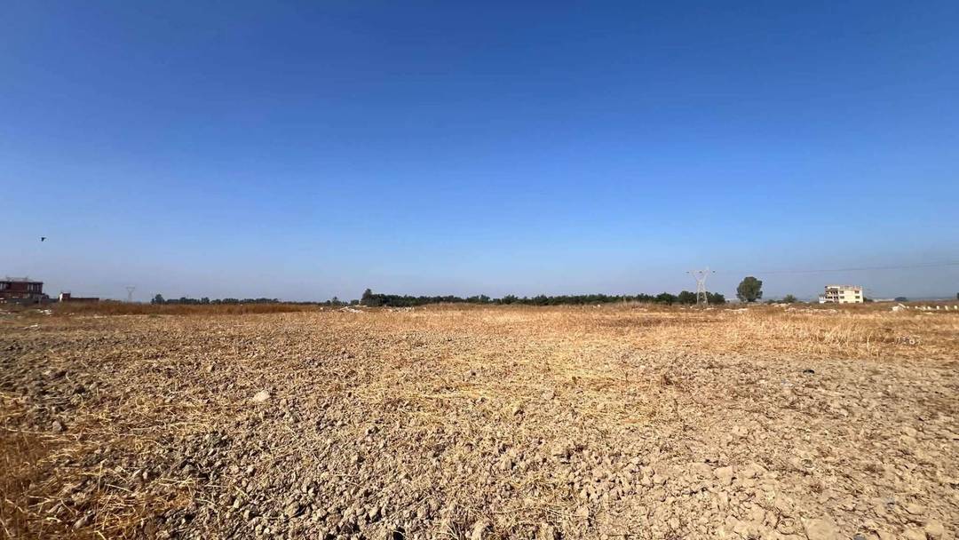 À vendre à Tessala El Merdja, province d'Alger : terrain exceptionnel pour la construction d'une maison familiale