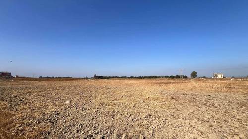 À vendre à Tessala El Merdja, province d'Alger : terrain exceptionnel pour la construction d'une maison familiale 