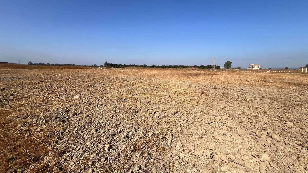 À vendre à Tessala El Merdja, province d'Alger : terrain exceptionnel pour la construction d'une maison familiale