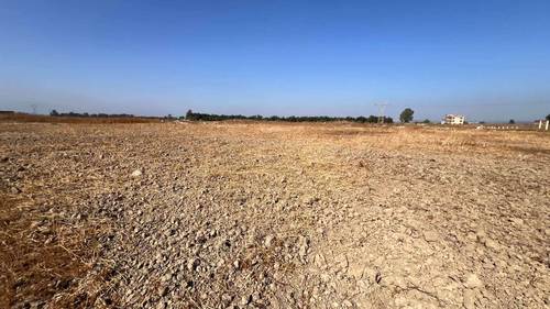 À vendre à Tessala El Merdja, province d'Alger : terrain exceptionnel pour la construction d'une maison familiale 