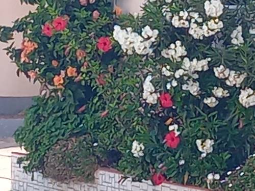 Location courte durée 