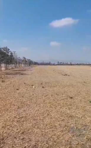 VENTE TERRAIN AGRICOLE 