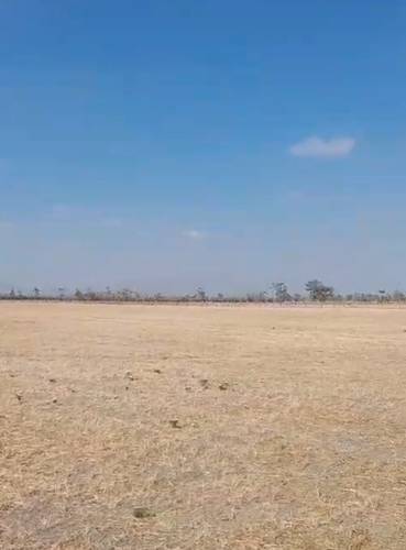 VENTE TERRAIN AGRICOLE 