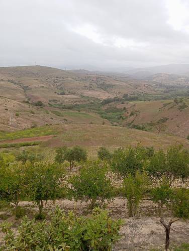 Vente maison nedroma 