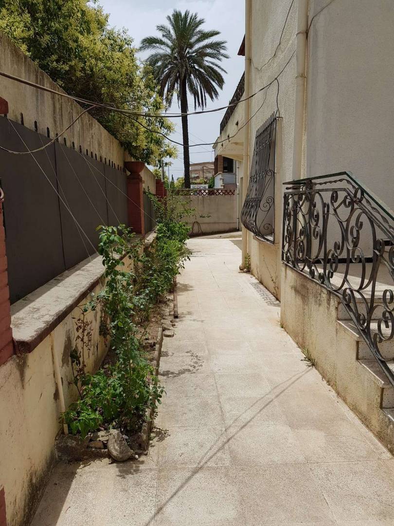 Villa R+1 ALGER