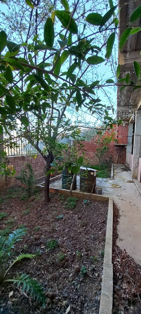 Vente maison en clos couvert Bejaia 06000