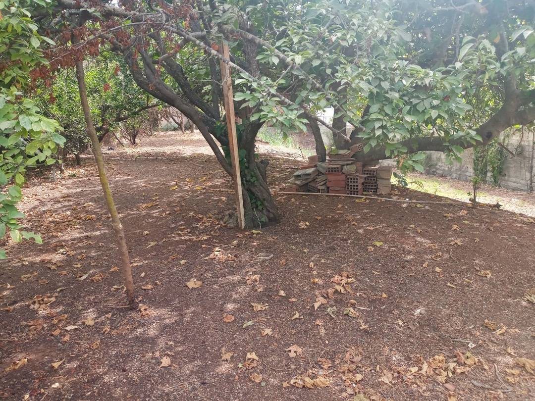 Vente Villa Alger Hydra