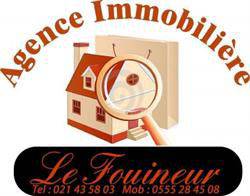 Agence Immobilière Le Fouineur