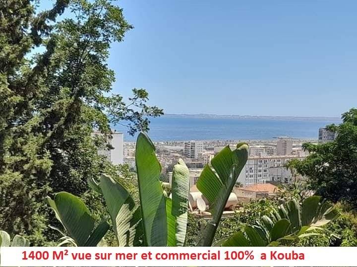 vente terrain a Kouba