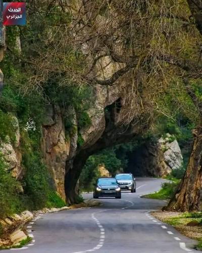 أرض صناعية جيجل 