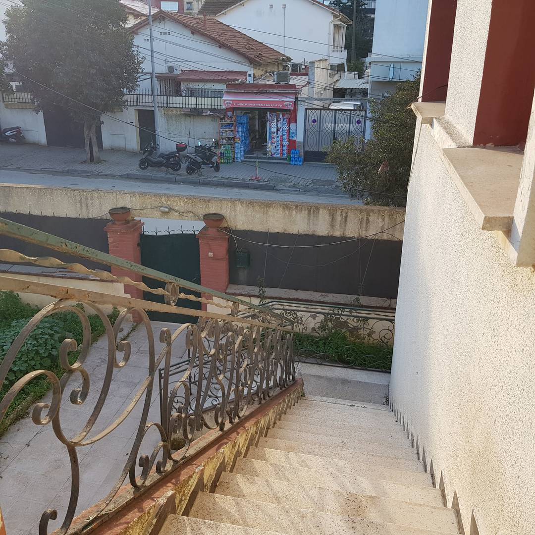 Villa R+1 ALGER