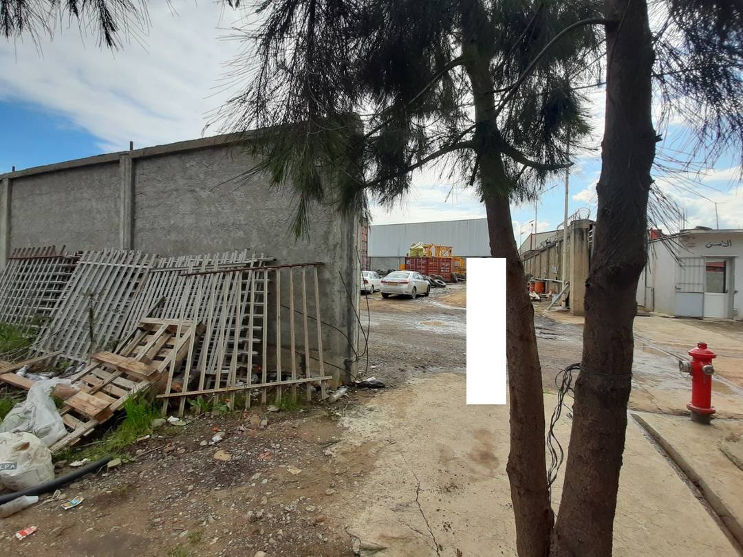 Dar edounia loue à khemis el khechna un terrain de 2200 m² entièrement