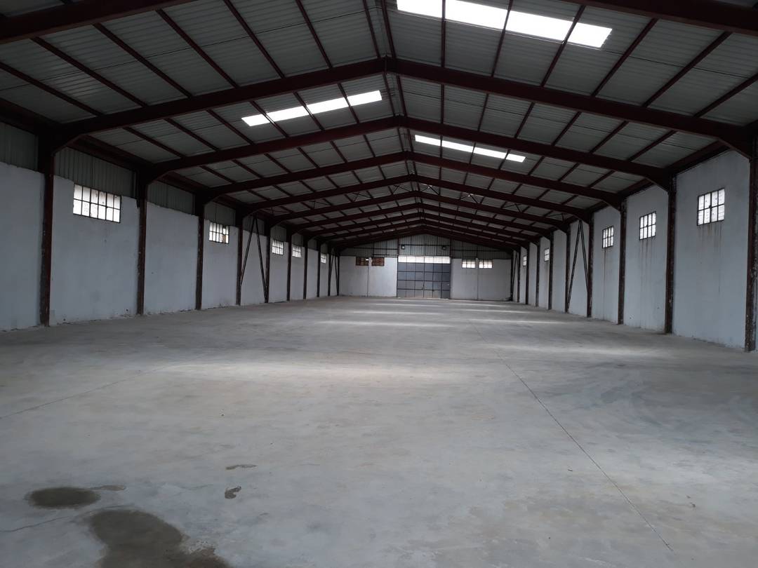 Agence loue à Boufarik un Hangar de : 1500 M² couvert (en charpente métallique)