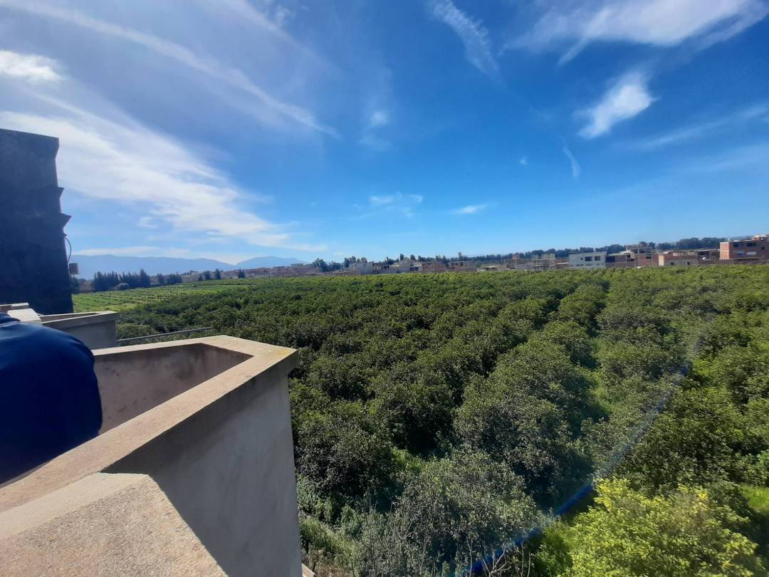Vente villa à Boufarik (Ben Hamdane)