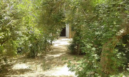 Vente Terrain Biskra