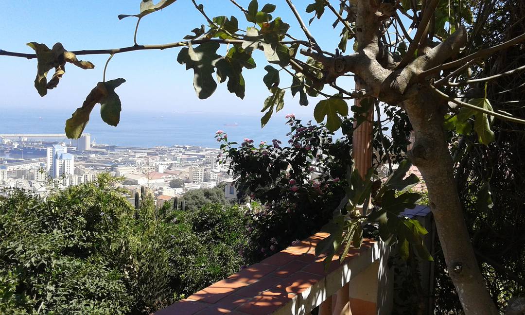 Avec une vue Imprenable sur la Baie d'Alger.Piscine. grand jardin .terasse .balcon