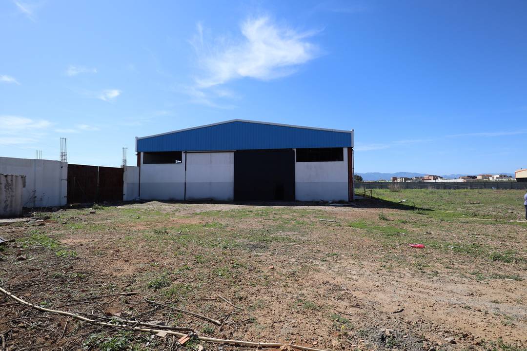 Agence loue Aux Eucalyptus un Hangar Industriel de 1200 M² couvert (en charpente métallique) 