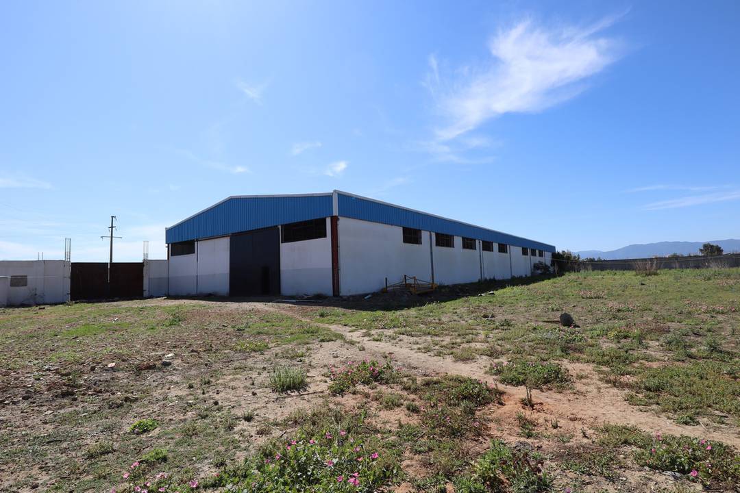 Agence loue Aux Eucalyptus un Hangar Industriel de 1400 M² couvert (en charpente métallique) proche de l’autoroute