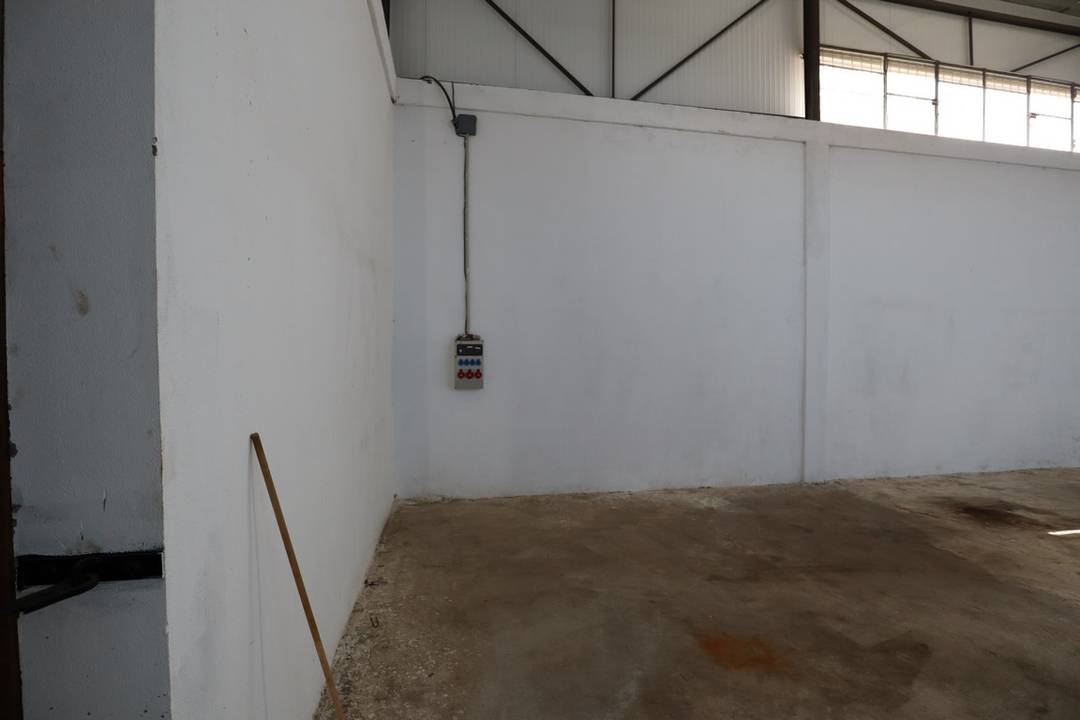 Agence loue à Zaouia (Beni Tamou) un Hangar de : 730 M² couvert (en panneaux sandwichs) 