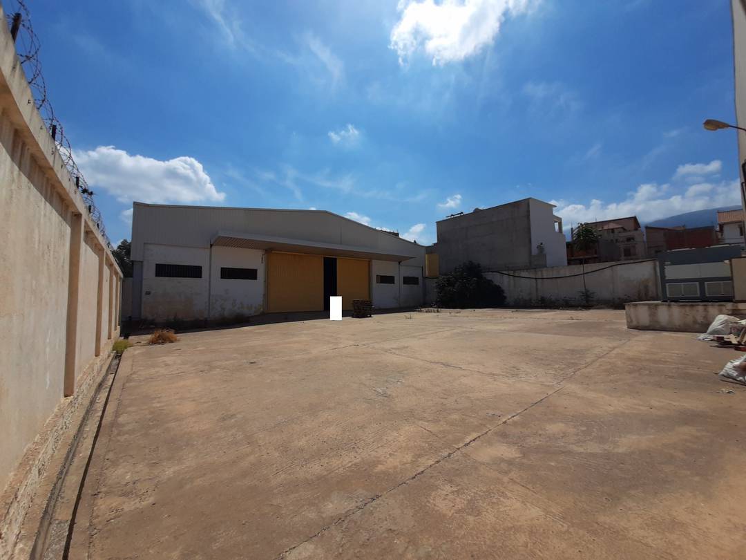 Agence loue à Soumaa (Blida) un Hangar de : 3000 M² couvert