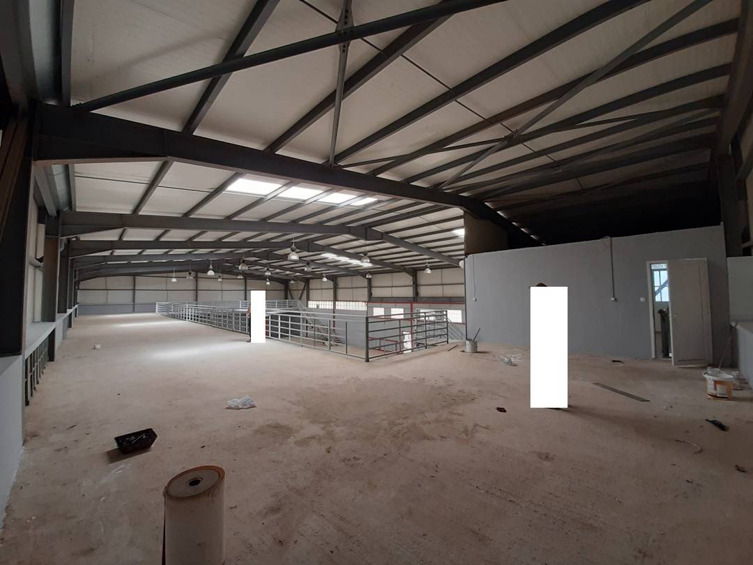 Agence loue à Zaouia (Beni Tamou) un Hangar de : 1000 M² couvert (en panneaux sandwichs) 