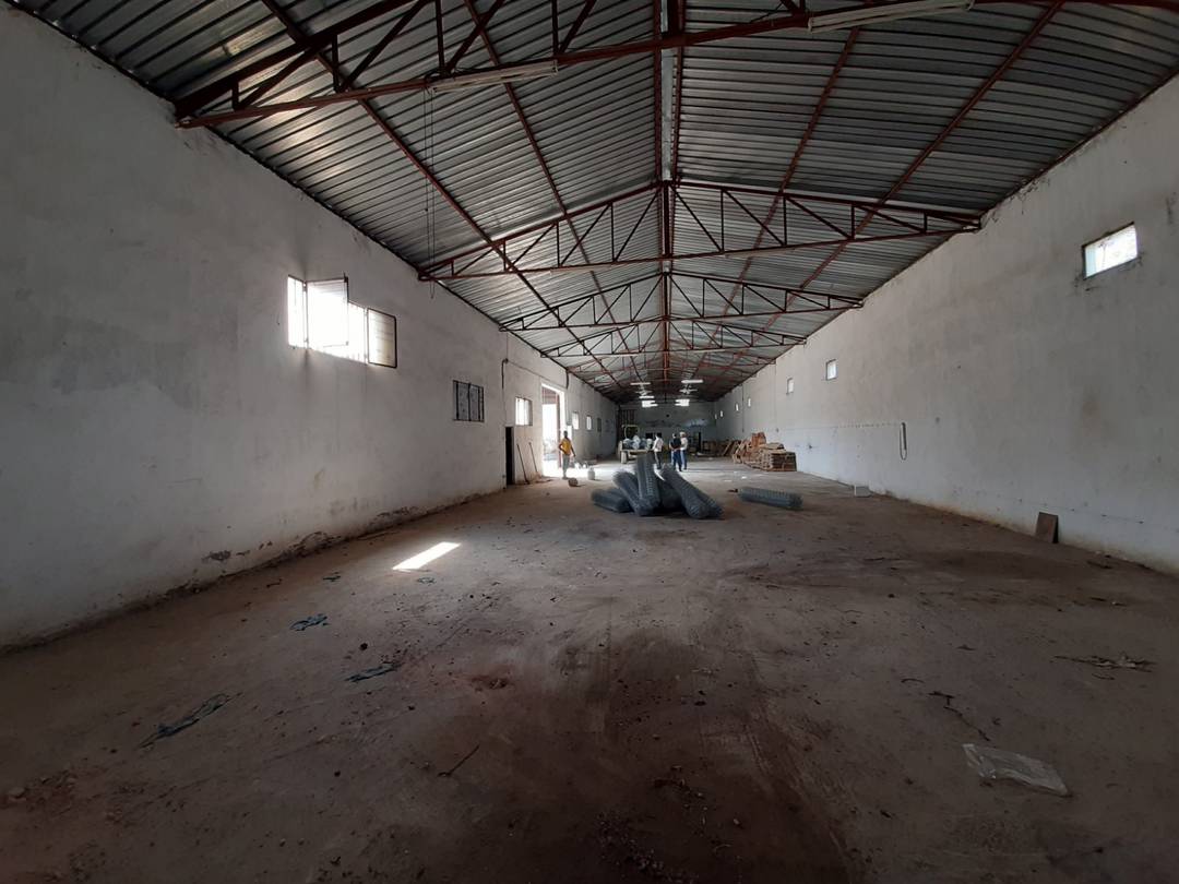 Agence loue à Ben Salah (Ouled Alleug) un Hangar de : 600 M² couvert
