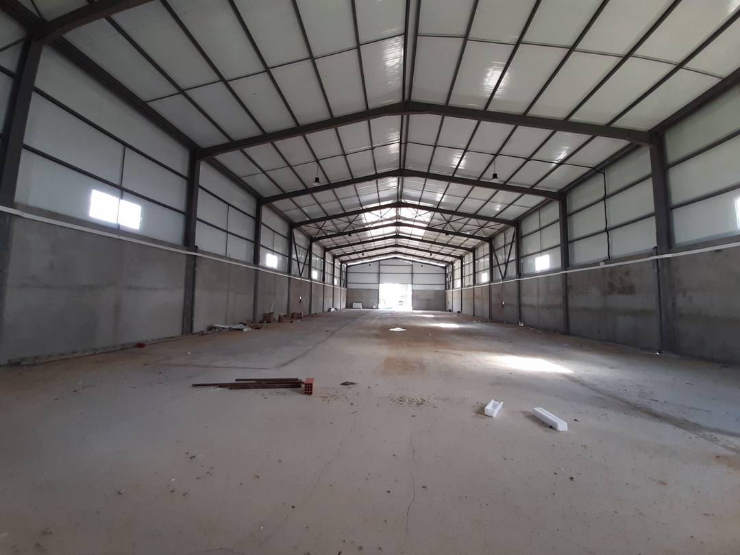Carrefour de l’immobilier loue à Ouled Alleug (Ben Salah) un Hangar de : 1000 M² couvert (en panneaux sandwichs)