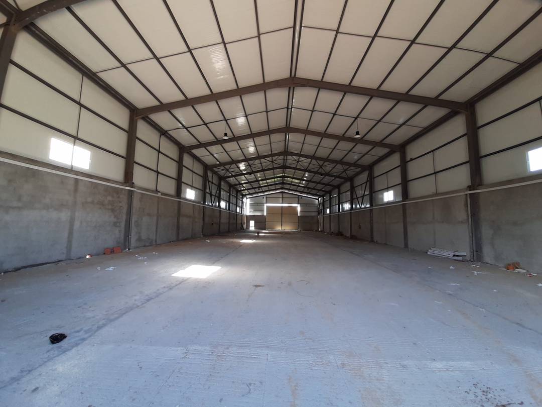 Carrefour de l’immobilier loue à Ouled Alleug (Ben Salah) un Hangar de : 1000 M² couvert (en panneaux sandwichs)
