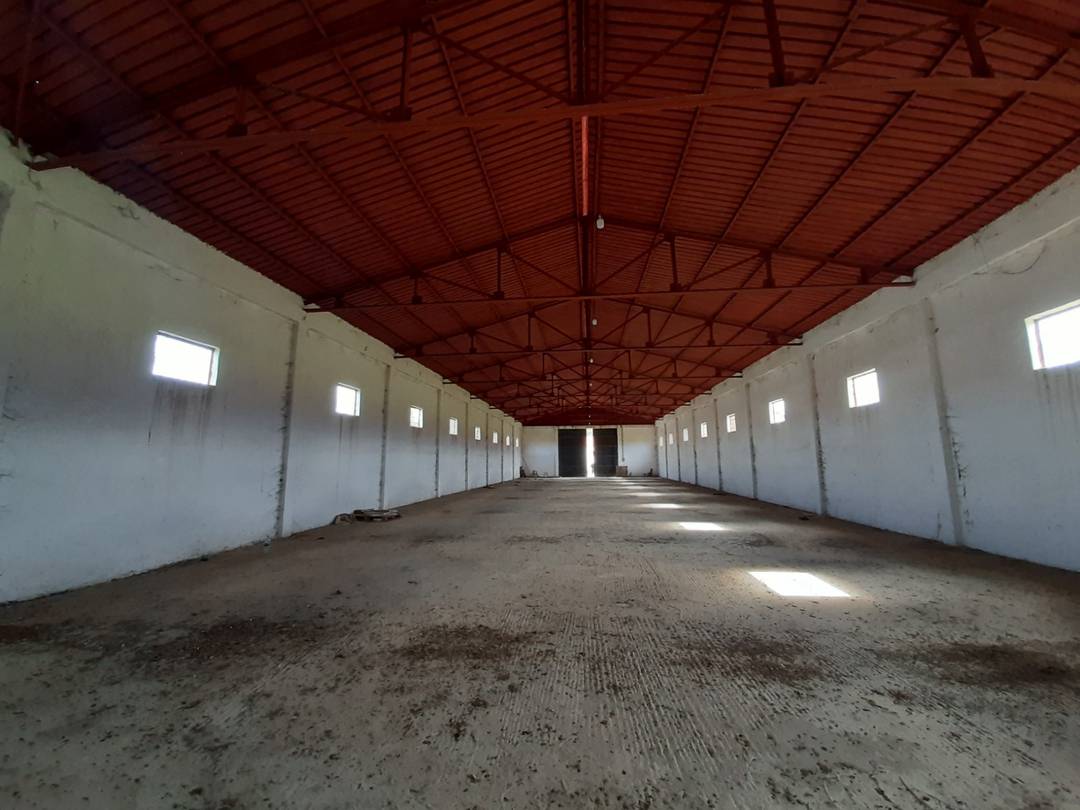 Carrefour de l’immobilier loue à Ouled Alleug (Ben Salah) un Hangar de : 900 M² couvert 