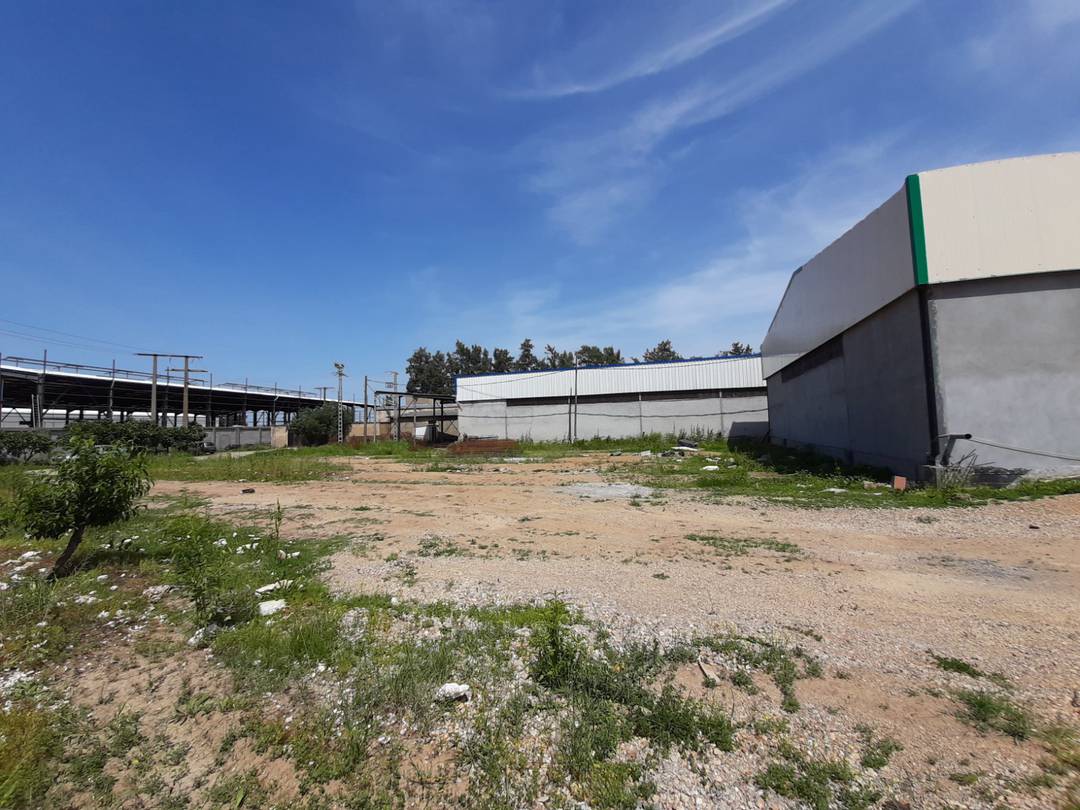 Dar Edounia loue à Ouled Alleug (Ben Khelil) un Hangar de : 760 M² couvert (en panneaux sandwichs) tout neuf 