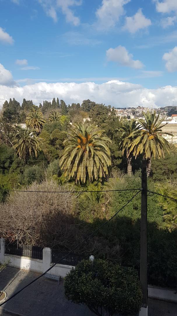 Location appartement F3 à El biar