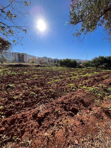 Vente lot terrain tlemcen nedroma 